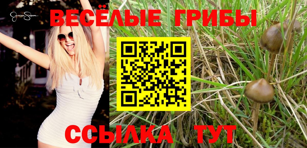 Галлюциногенные грибы прущие грибы  Вход с VPN  Евпатория 